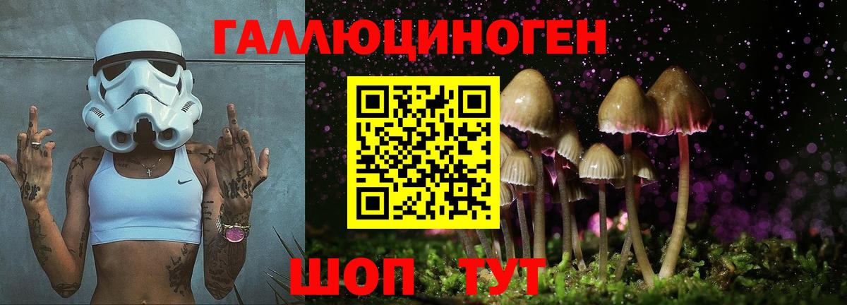 Гулькевичи  Псилоцибиновые грибы Psilocybe  Вход с VPN 
